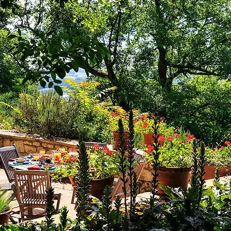Sleeps 12 Vila